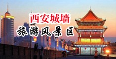 轮奸女老板在线观看中国陕西-西安城墙旅游风景区